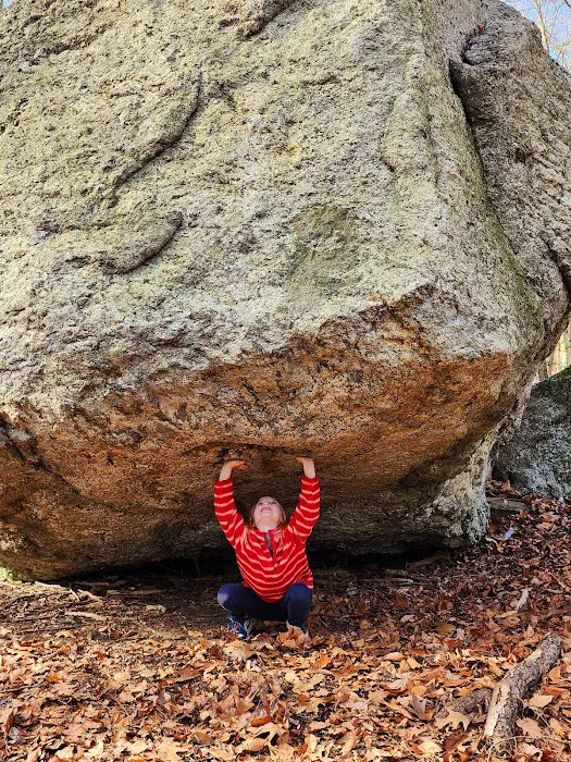 Webb Mountain Campsites 2-7 Picture 4