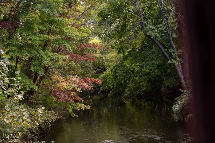 Webb Mountain Campsites 2-7 Picture 8