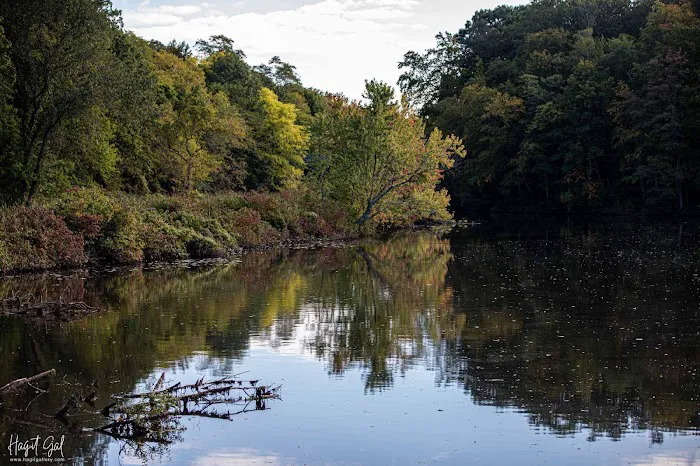 Webb Mountain Campsites 2-7 Picture 7