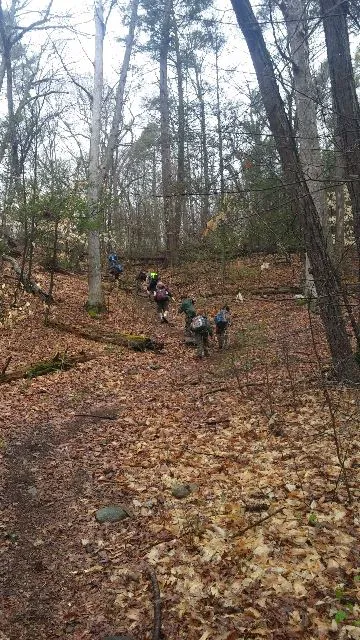 Webb Mountain Campsites 2-7 Picture 9