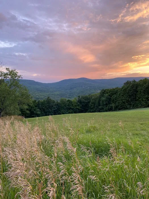 The Sun Barn Picture 7