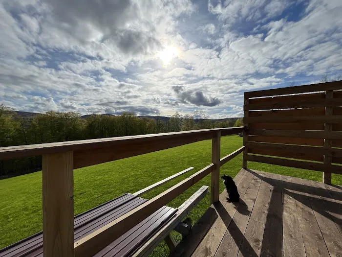 The Sun Barn Picture 3