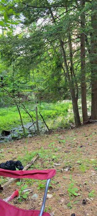 Waterfalls Campsite Picture 4