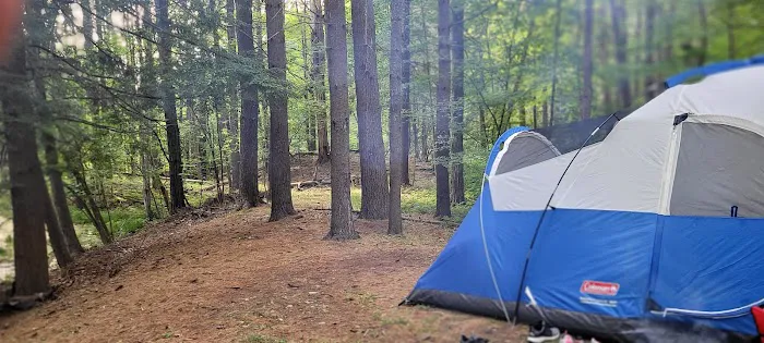 Waterfalls Campsite Picture 5