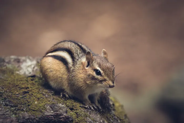 Henderson Scout Reservation Picture 2