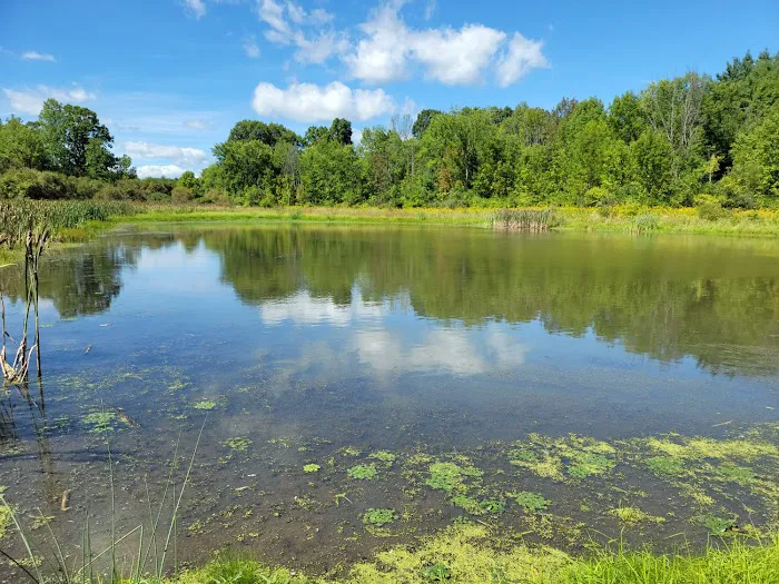 Hide-A-Way Campsites Picture 3