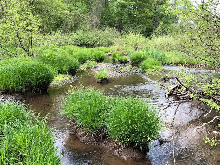 Red Creek Hideaway Picture 2