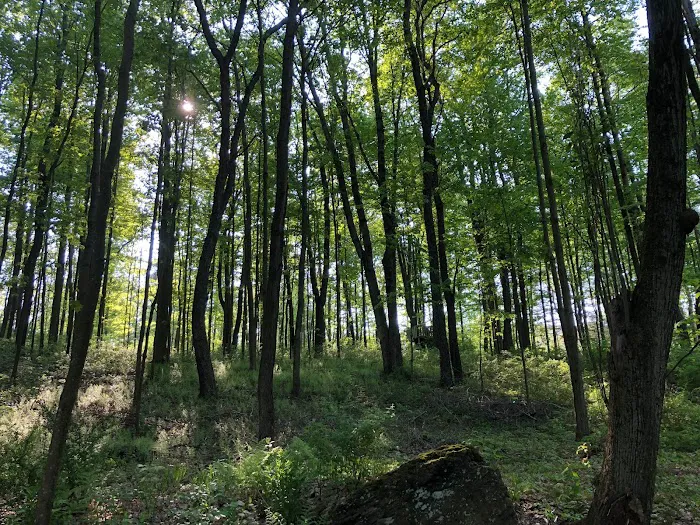 Red Creek Hideaway Picture 5