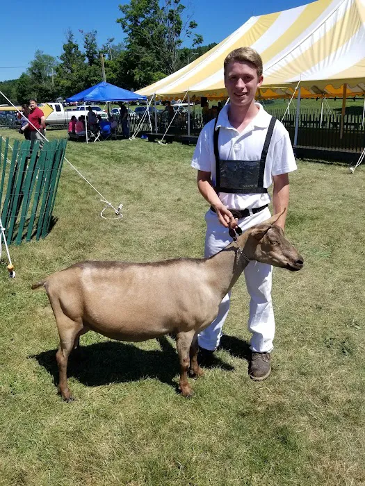 Iroquois Farm Showgrounds Picture 8