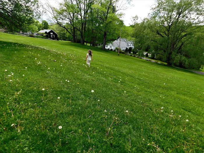 Belvedere Lake Resort Picture 4