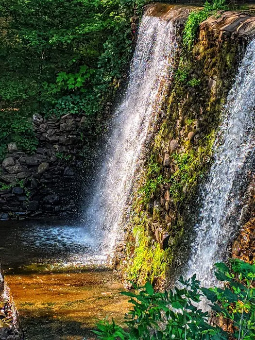 Belvedere Lake Resort Picture 9