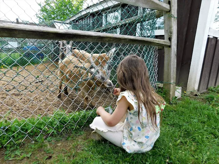 Belvedere Lake Resort Picture 3