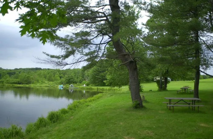 Cooperstown Beaver Valley Cabins & Campsites Picture 8