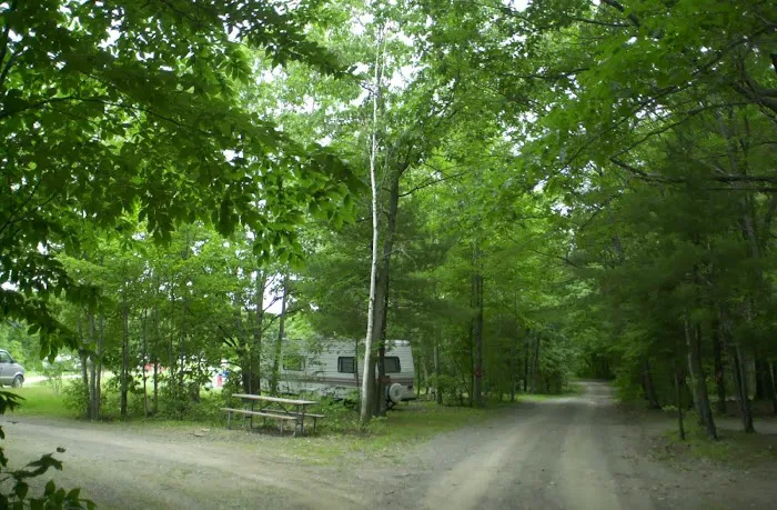 Cooperstown Beaver Valley Cabins & Campsites Picture 5