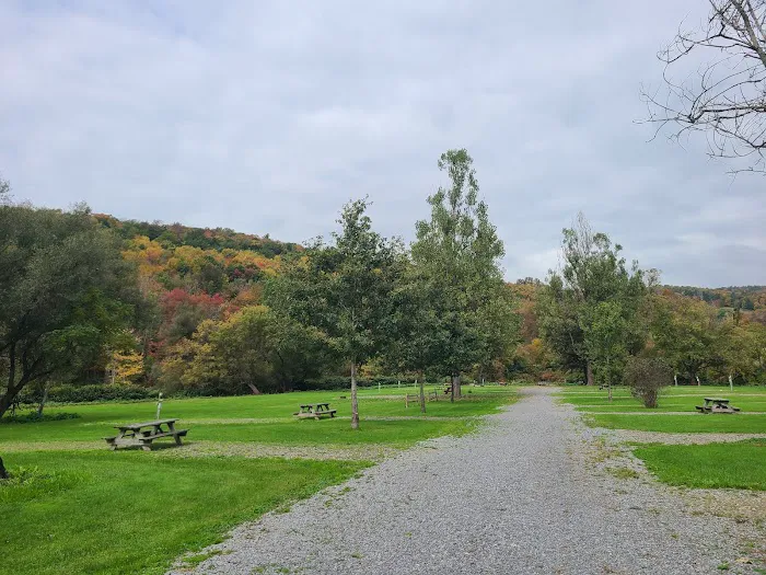Susquehanna Trail Campground Oneonta NY Picture 9