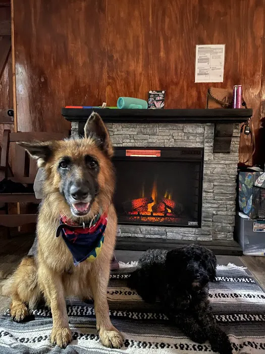 Cabin Colony Picture 2