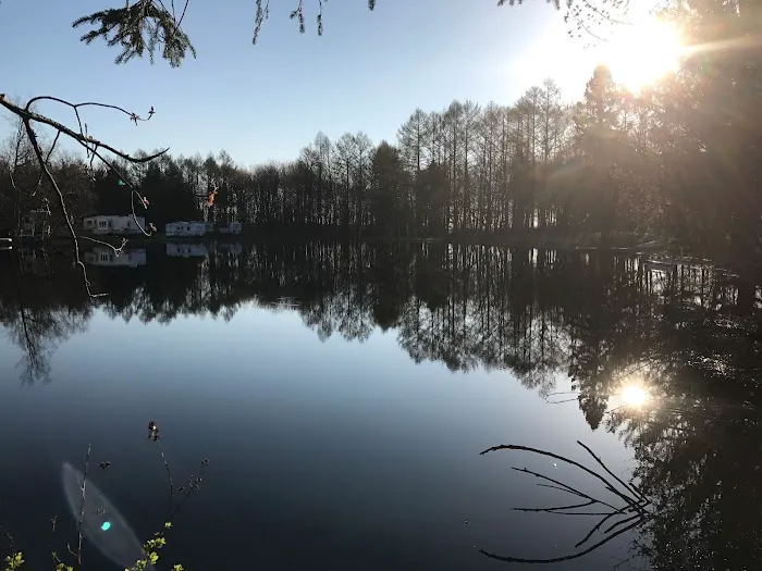 Meadow-Vale Campsites Picture 9