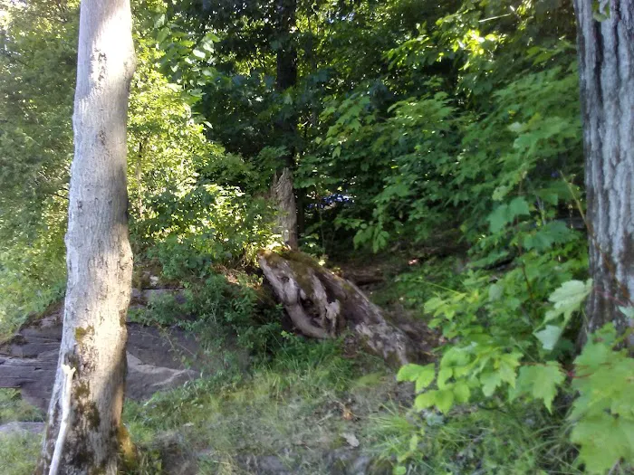 East Sidney Dam Recreation Area Picture 1