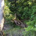 East Sidney Dam Recreation Area