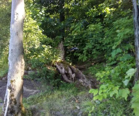 East Sidney Dam Recreation Area