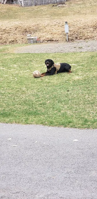 East Sidney Dam Recreation Area Picture 6