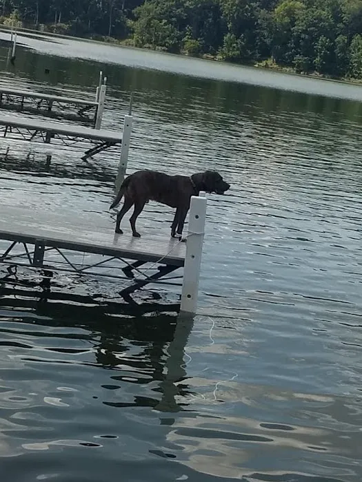 East Sidney Dam Recreation Area Picture 7