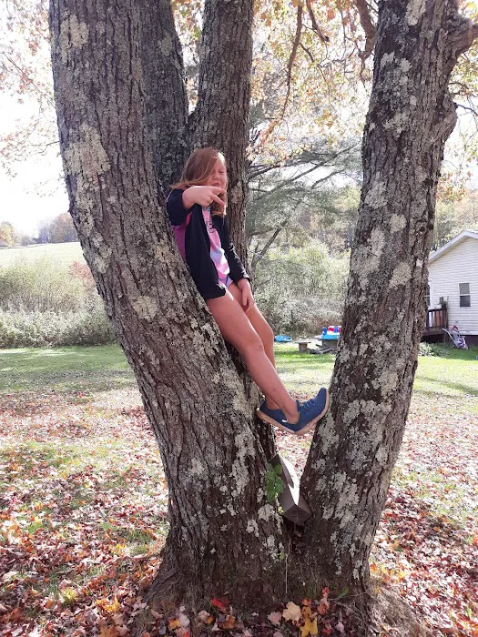 East Sidney Dam Recreation Area Picture 3