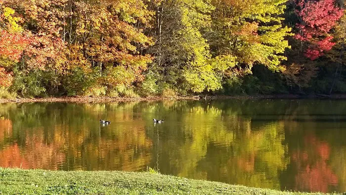 Cooperstown Family Campground Picture 4