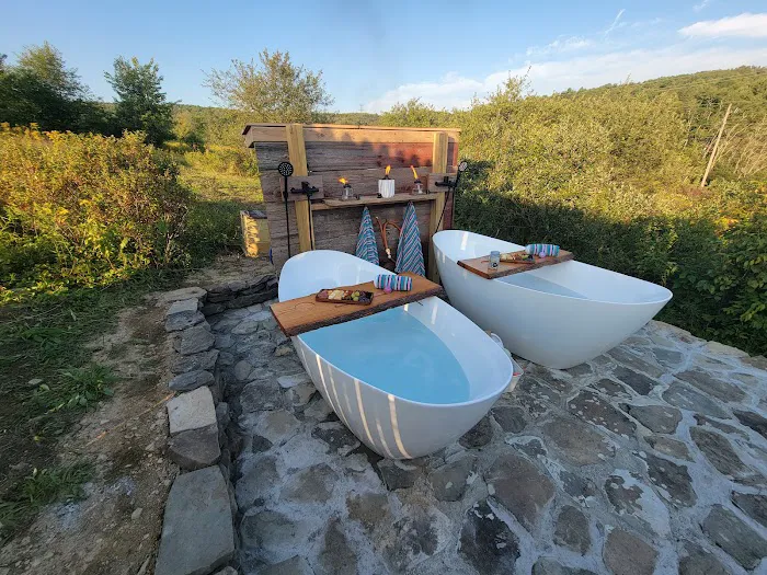 Coyote Hollow Park Picture 5