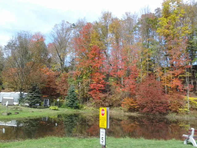 Unadilla / I-88 / Oneonta KOA Journey Picture 8