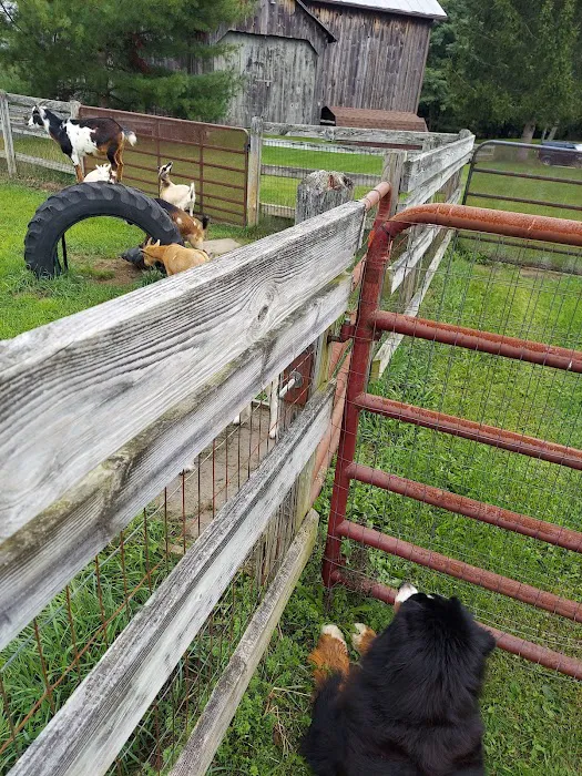 Emerald Glen Getaway Picture 2