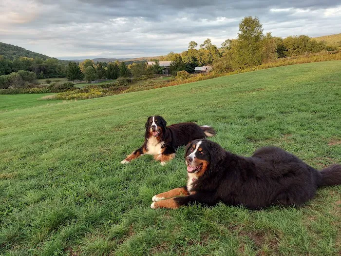 Emerald Glen Getaway Picture 1