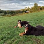 Emerald Glen Getaway