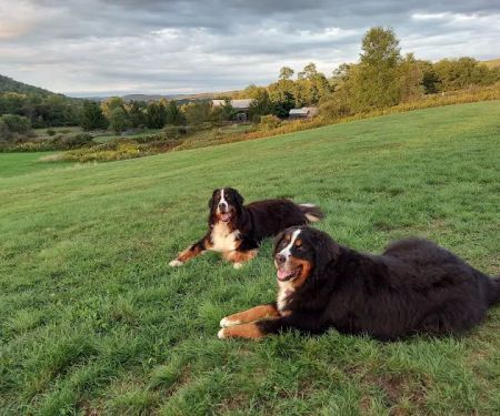 Emerald Glen Getaway