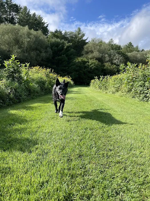 Emerald Glen Getaway Picture 7