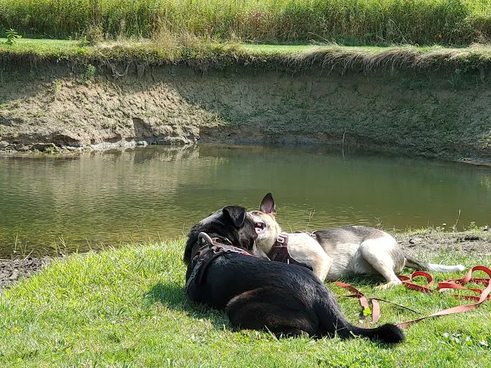 Emerald Glen Getaway Picture 4