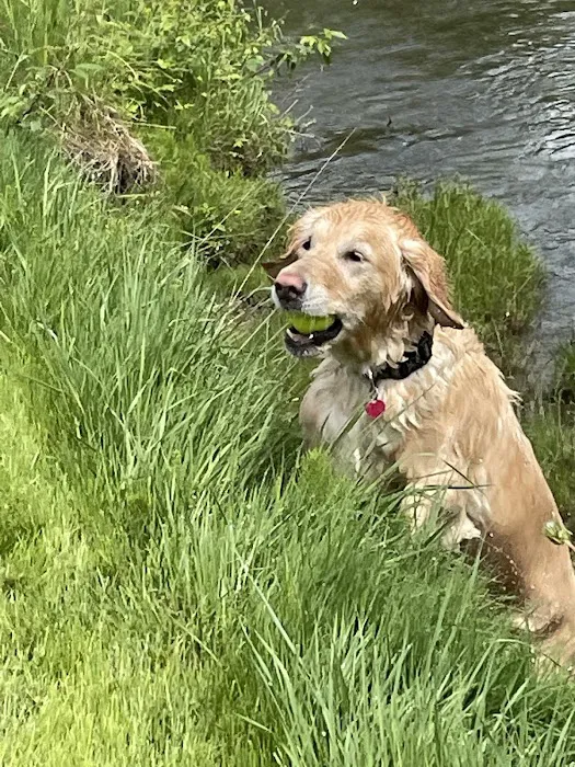 Emerald Glen Getaway Picture 6