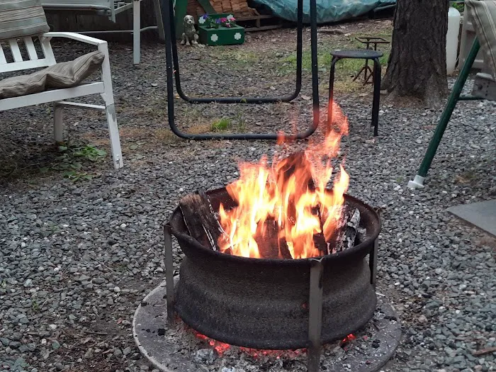 Christmas Pines Campground, LLC Picture 4