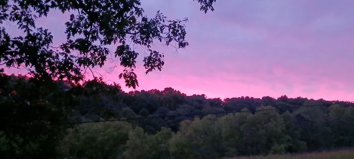 Christmas Pines Campground, LLC Picture 5