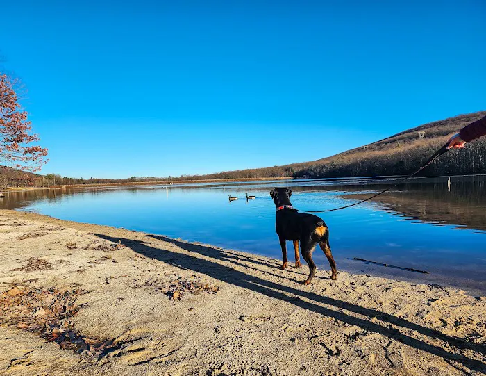 Locust Lake State Park Campground Picture 3