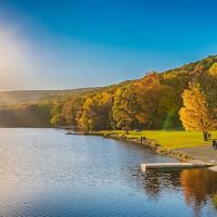 Locust Lake State Park Campground ico