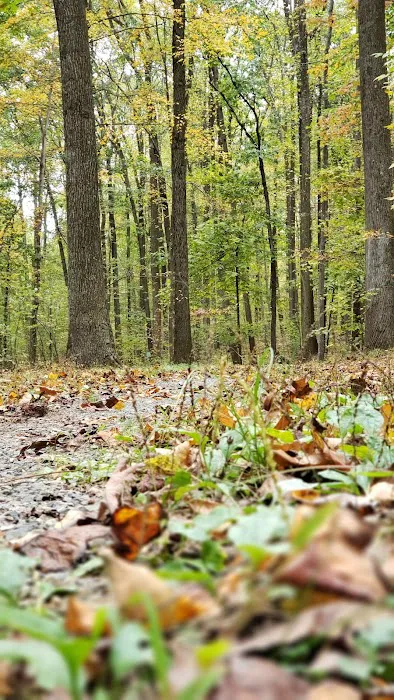 Kamp Keystone Picture 2