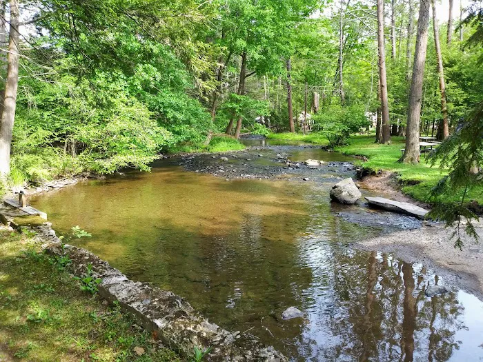 Moyers Grove Campground Picture 10