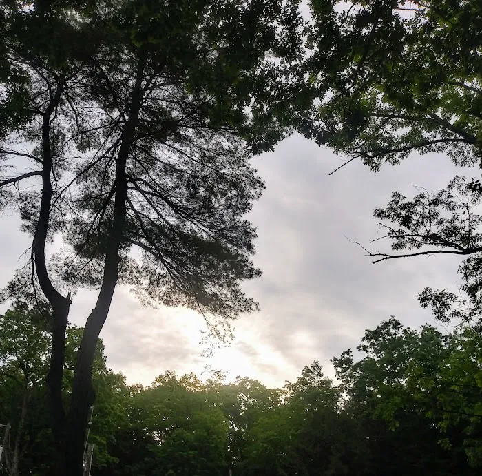 Moyers Grove Campground Picture 4