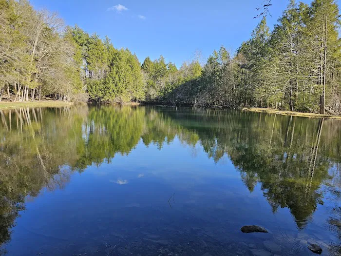 Moyers Grove Campground Picture 7