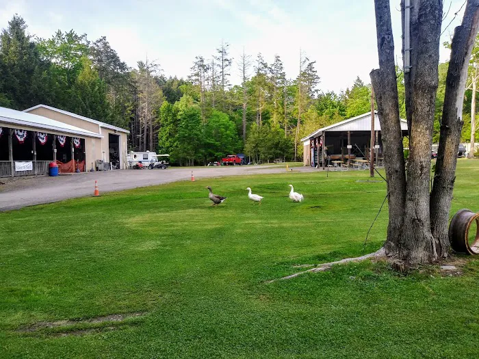 Moyers Grove Campground Picture 2