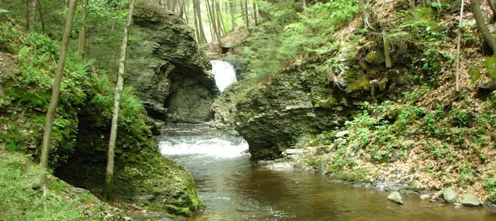 Council Cup Campground Picture 7