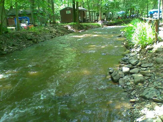 Council Cup Campground Picture 2