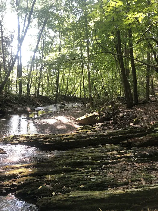 Council Cup Campground Picture 8