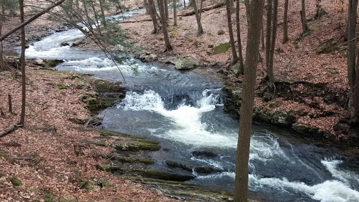 Council Cup Campground Picture 6